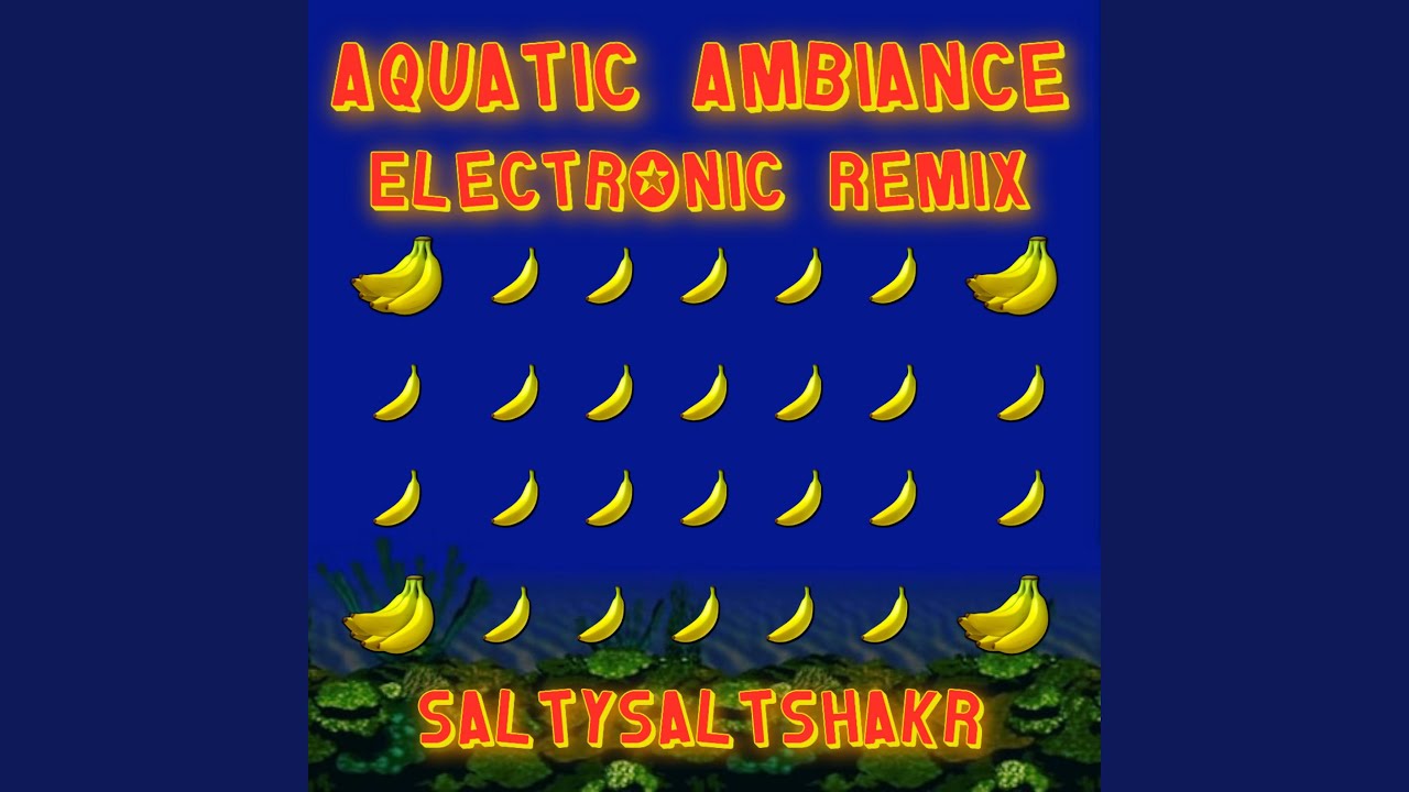 Aquatic Ambiance (Remix) - YouTube