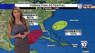 Famous Area of interest could form into tropical storm this weekend, early next week Net Worth