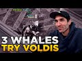 Lost ark whales try to clear voldis dungeon