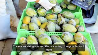 Freezen Pack Factory Announcement 2023