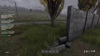 выживание от первого лица в Dayz