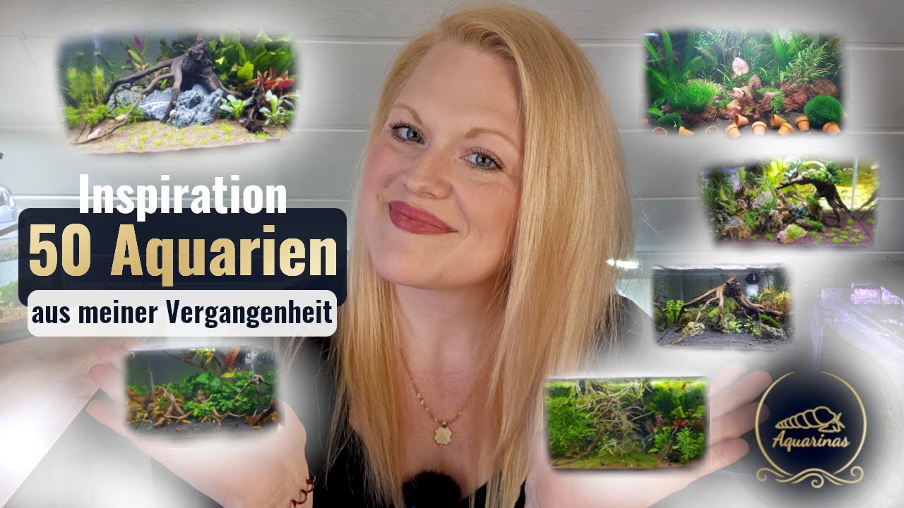 Was mit meinem Kanal passiert ist – und 50 Aquarien, die keiner kennt!