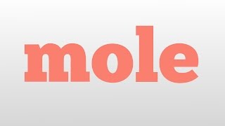 mole meaning and pronunciation