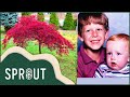 The tale of north carolinas japanese maple magicians  sprout full episode