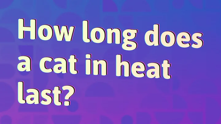 How long does a cat in heat last?