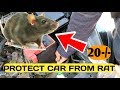 Protect CAR from RATS चूहों और Rodents से कैसे बचायें कार को Home पर ही Tobacco Way