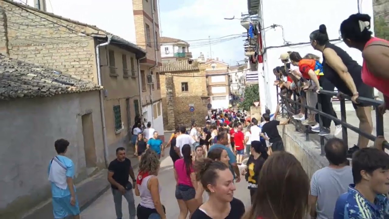 Toros  con. soga lodosa  2025