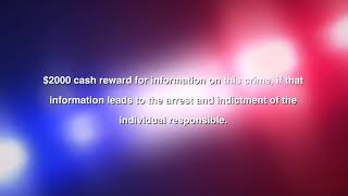 Crimes of the Month for April, 2019