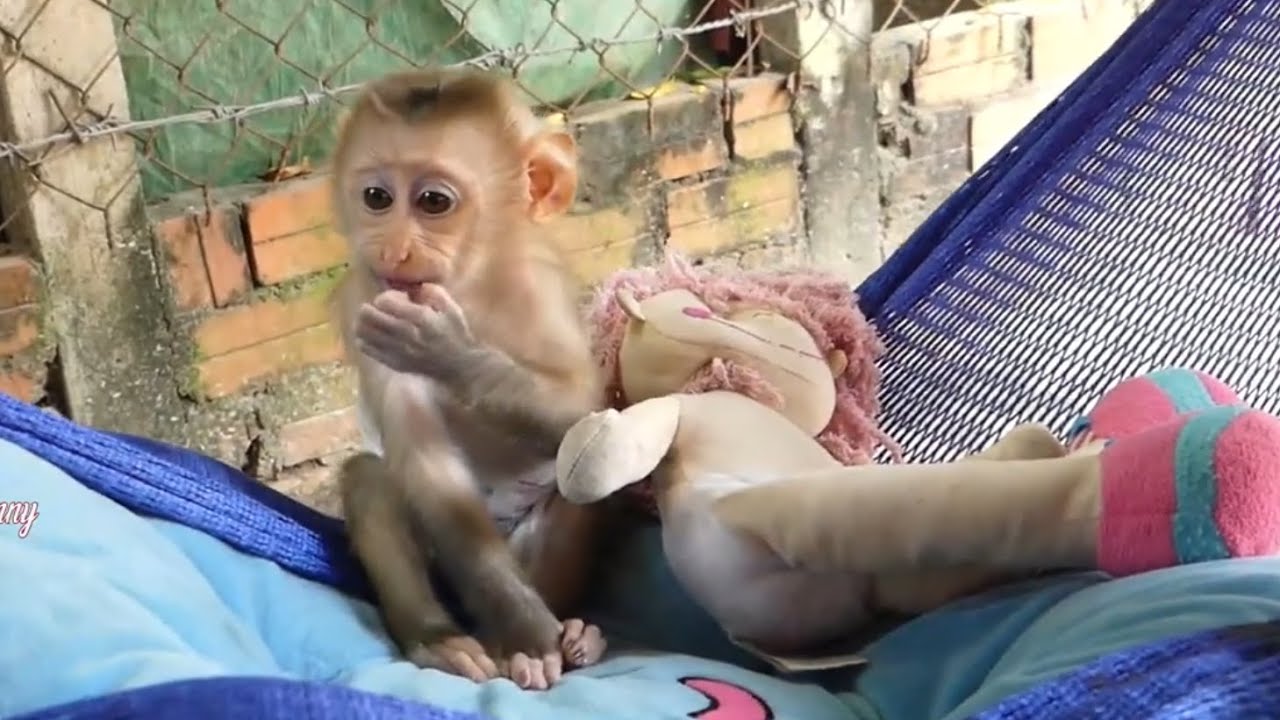 Lovely !! After Sleeping, Cute Baby LIORA Sit And Play On The Hammock