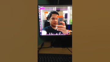 YOLO Version 2 Darknet Testing