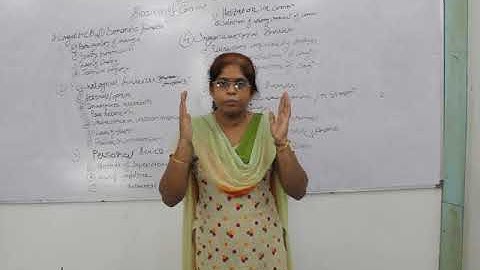 B.Com Sem 3 - Business Communication and Management : Lecture 10