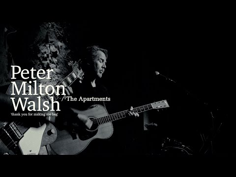PETER MILTON WALSH / THE APARTMENTS - Thank you for making me beg (Live at Les Vinzelles)