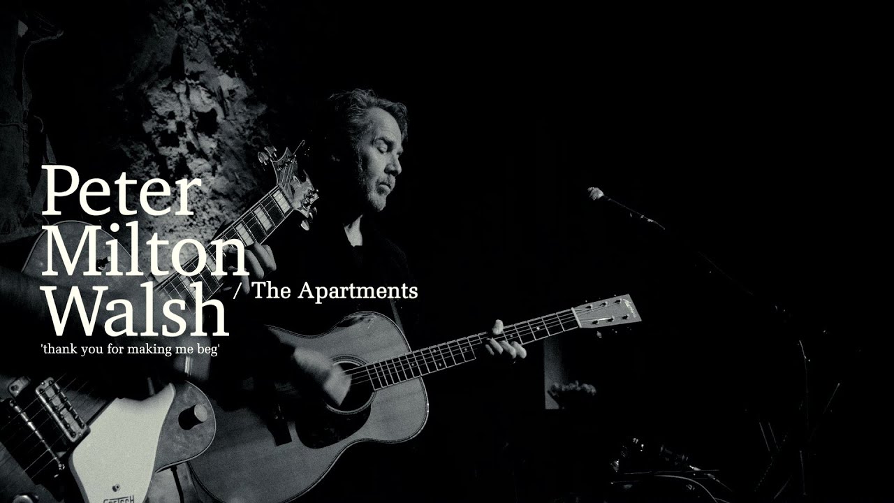 PETER MILTON WALSH / THE APARTMENTS Thank you for making me beg (Live