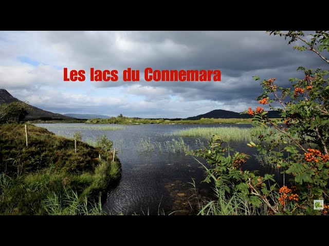 Michel Sardou - Les Lacs du Connemara - Paroles - 4K 