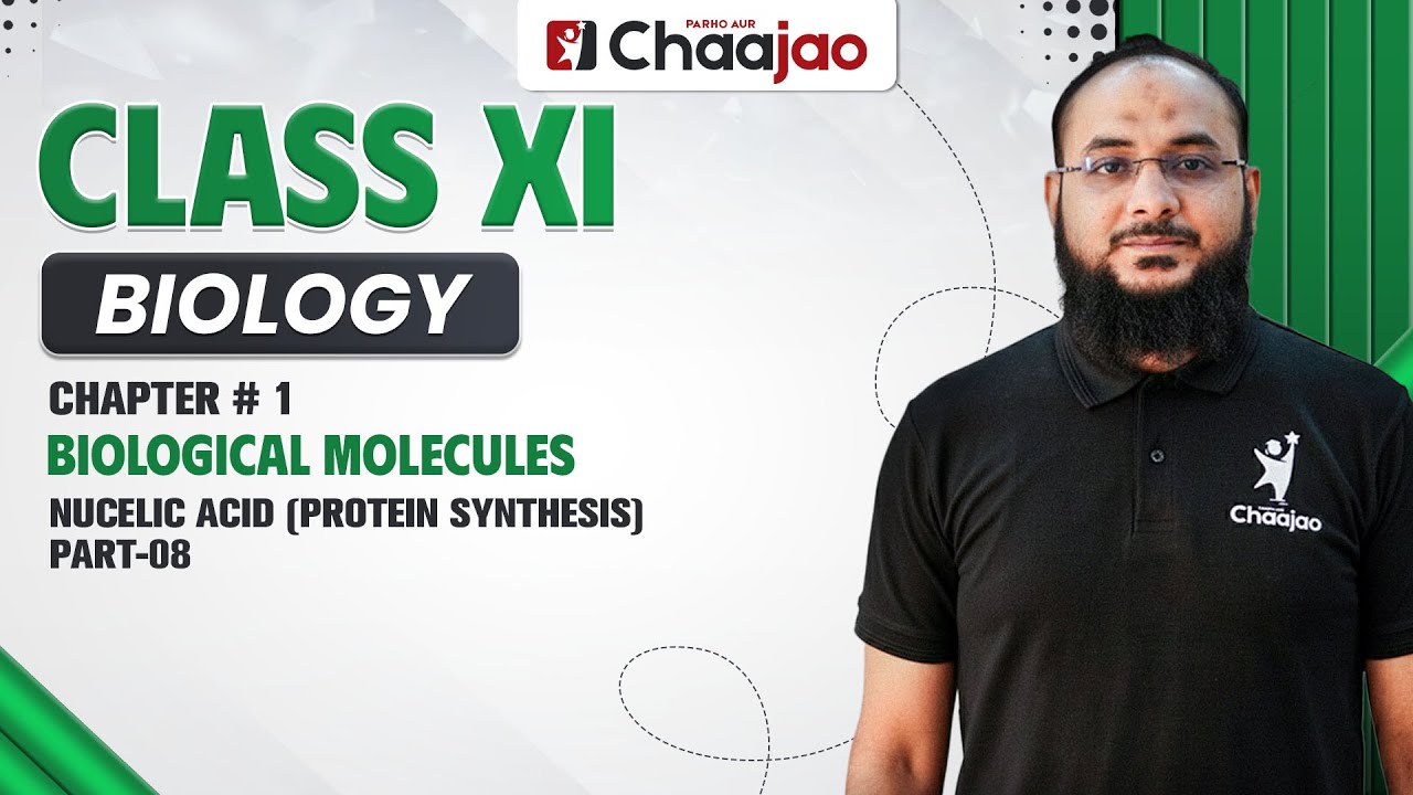 Синтез белков нуклеиновых кислот. Часть 8