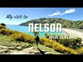 Nelson travel vlog|New Zealand|South Island #malayalam #newzealandvlogs #nelson