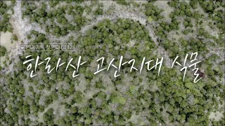 이상, 제주 [한라산 고산지대 식물] KBS제주 230523방송