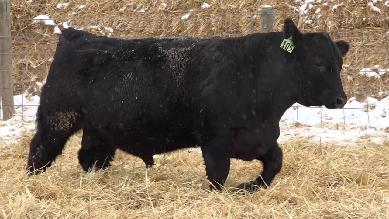 camera iphone 8 plus apk 105