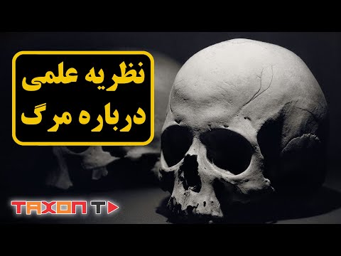 تصویری: آناتومی یک وجدان یا برده خود را بکشید