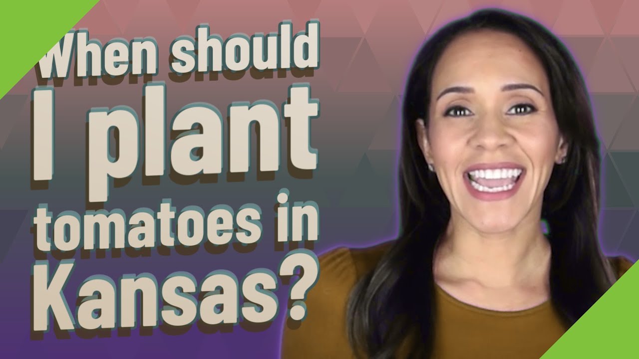 When Should I Plant Tomatoes In Kansas YouTube