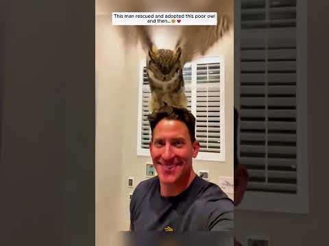 When Animals Get Help... #wildlife #wildliferescue #rescue #cute #lovestory #love #animals