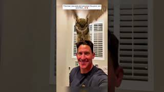 When Animals Get Help...