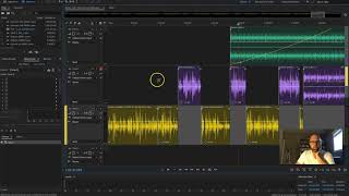 Certain Tracks Not Playing in Adobe Audition