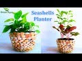 Seashells Planter | Flower Pot Making With Seashells | Best Planter Ideas //GREEN PLANTS