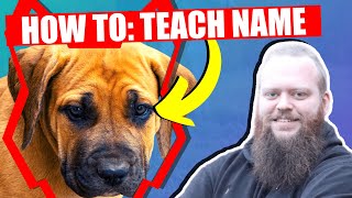 How To Teach Your BOERBOEL PUPPY Their Name