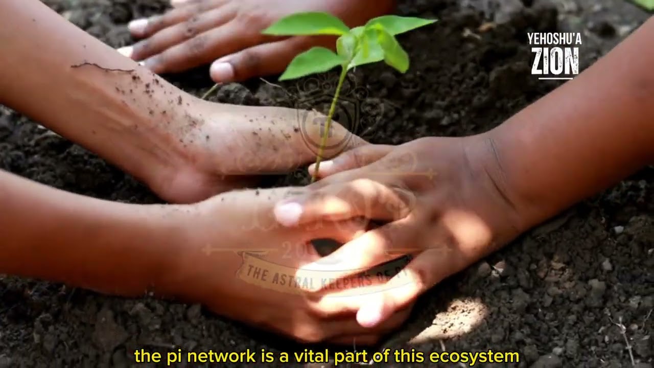 The Humble Path of the Pi Network