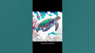 Zen Color | Turtle🐢 | #21 #zencolor #coloring #shorts