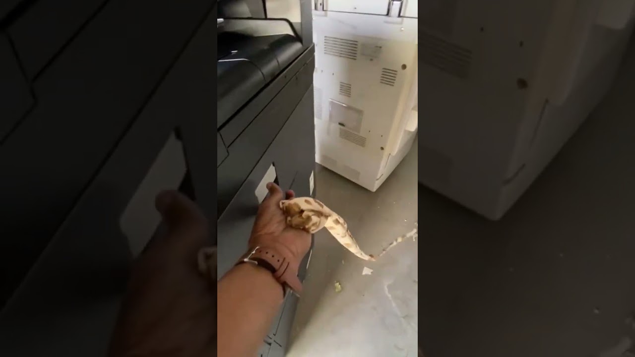 Kyocera taskalfa 4002i  