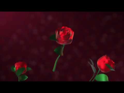 Valentine Transitions Pack