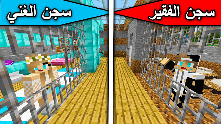 Minecraft movie: Prison of the rich vs. prison of the poor