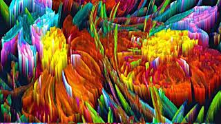 Dr. Olga Zbarskaya, Artist