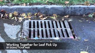 Fall Leaf Pick Up