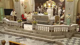 Prima Santa Messa di don Andrea Macchiavello - Omelia di Don Alvise Leidi