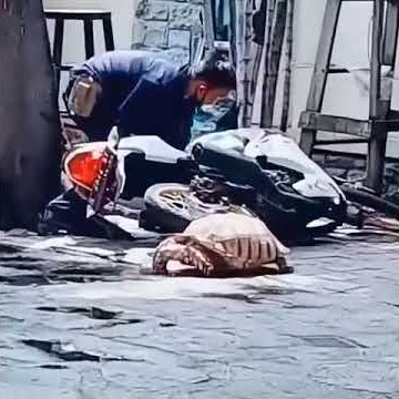 STORY WA| Video Lucu Seorang Polisi🤣😂