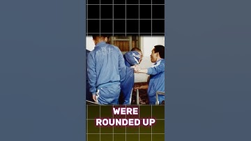 Real-Life Squid Game: The Horrors of South Korea’s Brothers Home #squidgame  #shorts