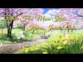 BEAUTIFUL WHATSAPP STATUS (MONSOON SPECIAL) || BHAAGE RE MANN ||SUNIDHI CHAUHAN Whatsapp Status Video Download Free