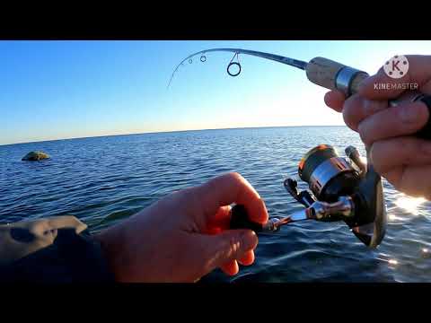 Video: Sådan Laver Du Fiskeklubber Med Vinsyre