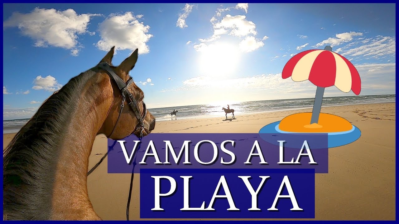 C'EST CA LE BONHEUR !! 🥰 - Balade à la plage