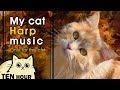 My cat harp music       10     10 hour best half music lullaby