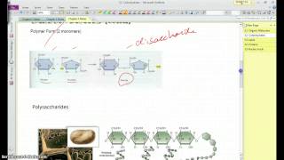 Biology - Chapter 3, Section 2