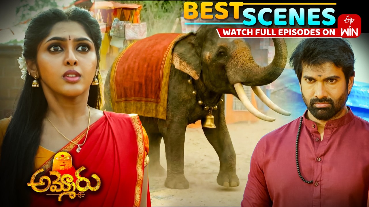 Ammoru Best Scenes : 14th March 2026 Episode Highlights | Watch Full ...