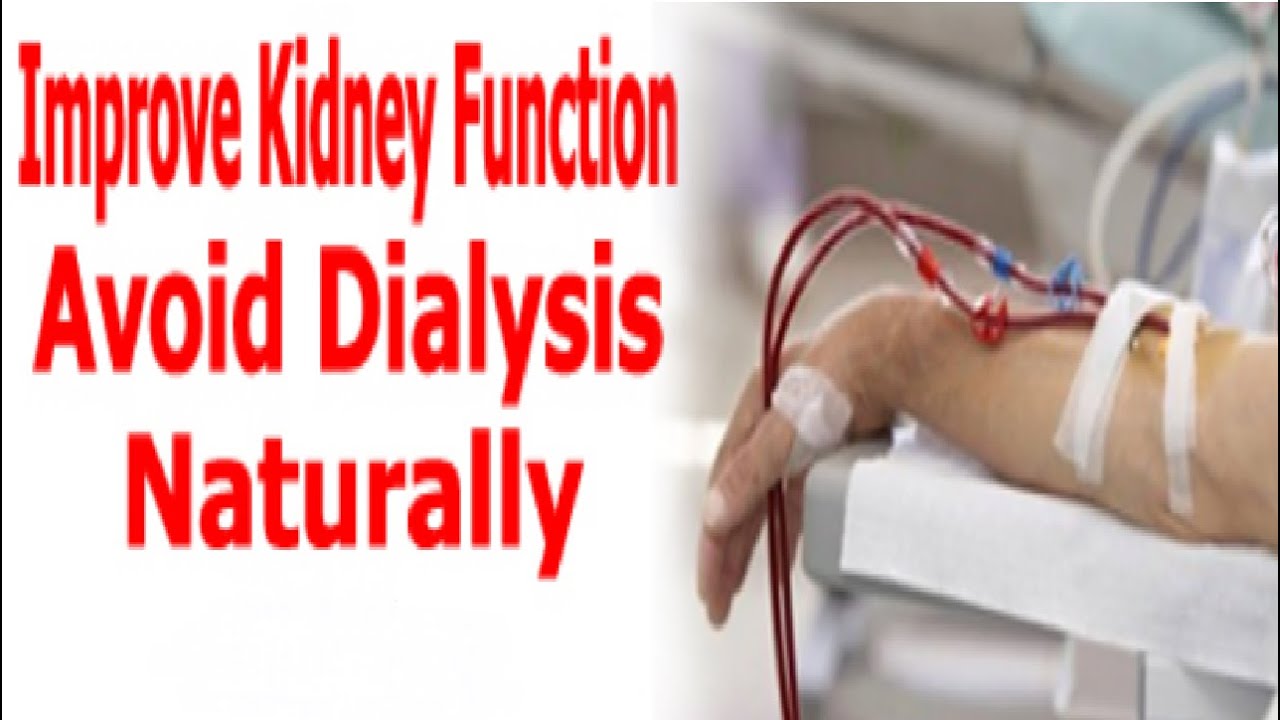 How to Reverse Kidney Disease Naturally - Avoid Kidney Failure - YouTube