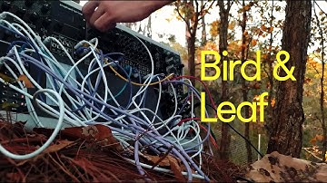 Bird & Leaf | Generative ambient impro with Eurorack Modular Synthesizer