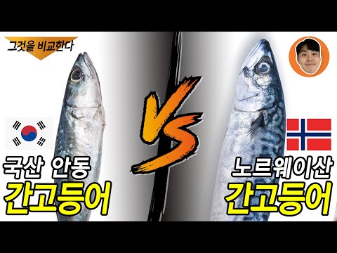 밥 도둑 고등어 비교~! 안동 간고등어 VS 노르웨이 간고등어