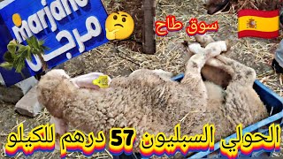 حولي ديال السبليون طاح عليه البق  57 درهم للكيلو  حولي ديال الدرويش  منافسه جديده مرجان الكراجات