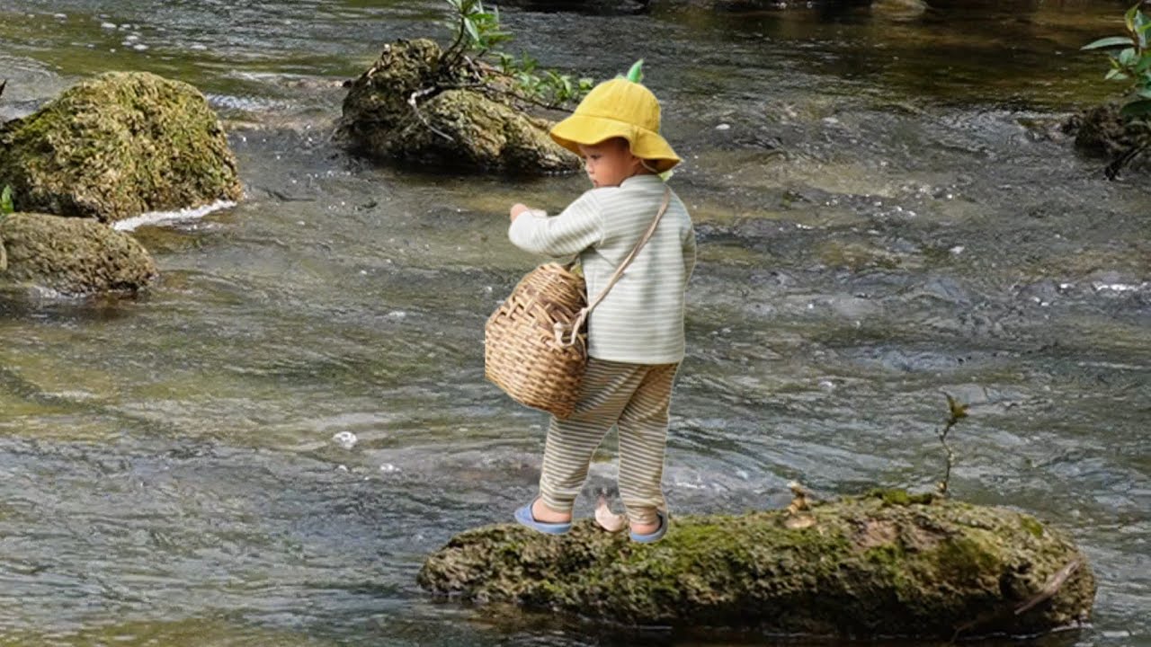 Single mother catches snails to sell and picks wild vegetables to cook ...